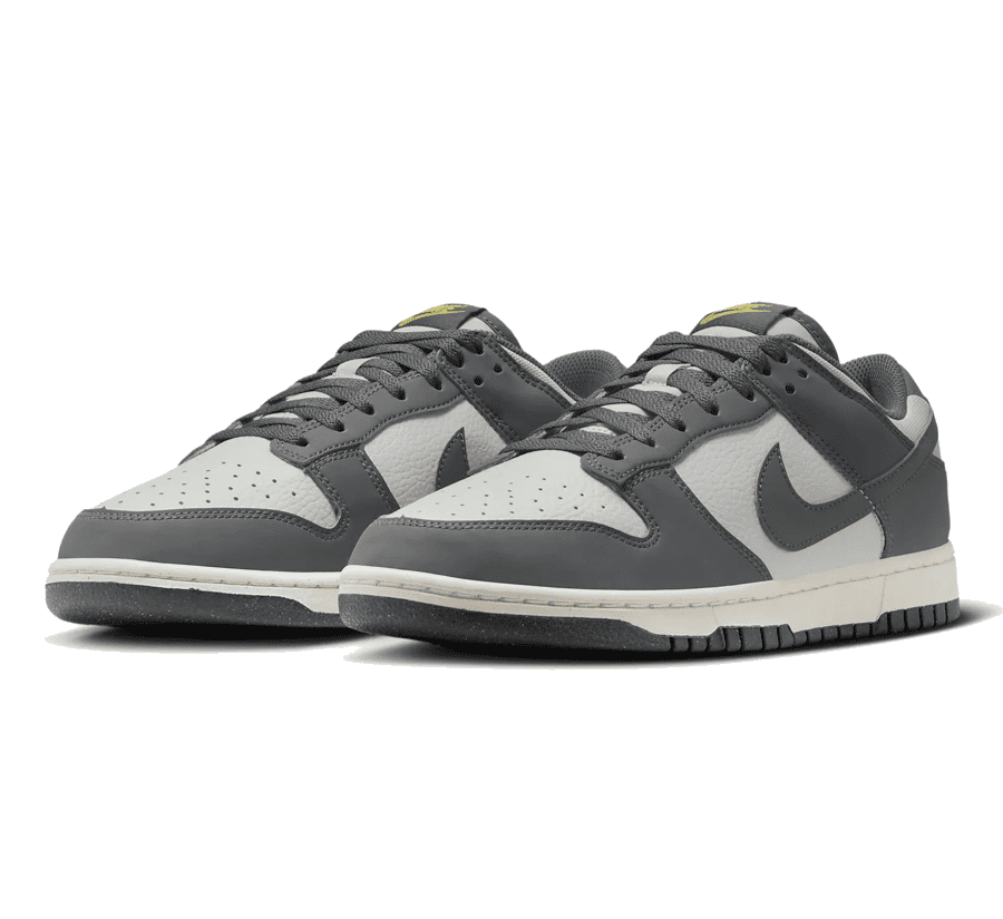 Nike Dunk Low Next Nature Iron Grey