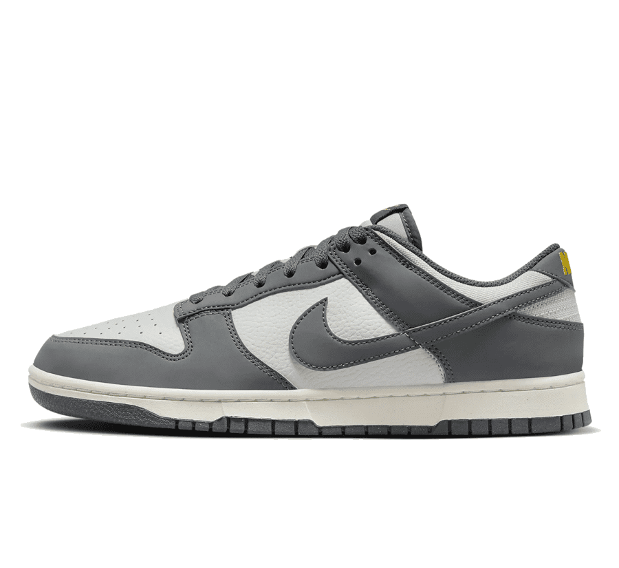 Nike Dunk Low Next Nature Iron Grey