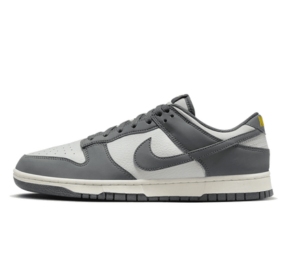 Nike Dunk Low Next Nature Iron Grey