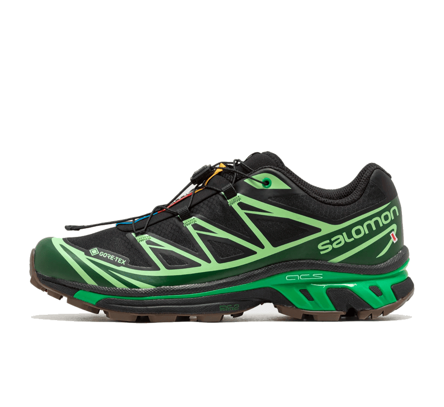 Salomon XT-6 x GORE TEX Black Eden Green Ash