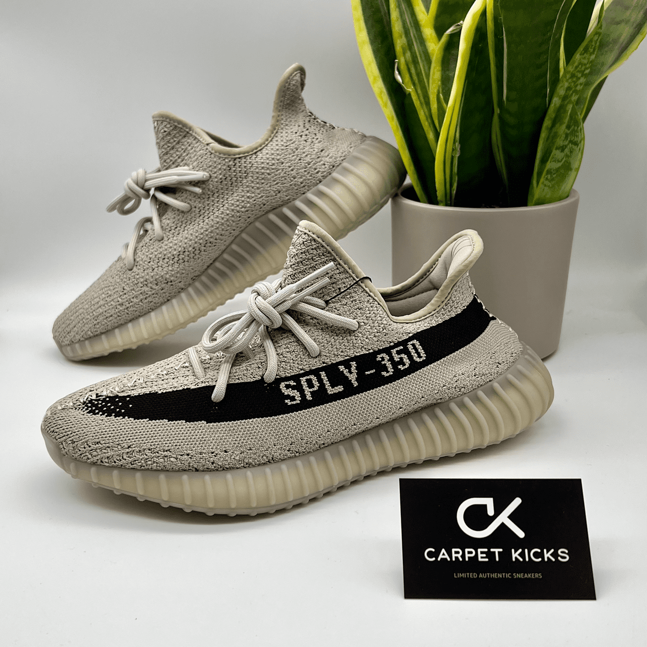 Yeezy Boost 350 V2 Slate - CARPET KICKS